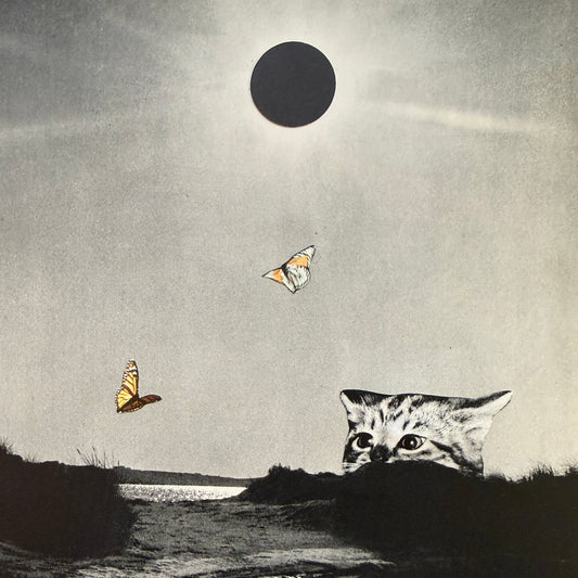 Flutter - Framed Original