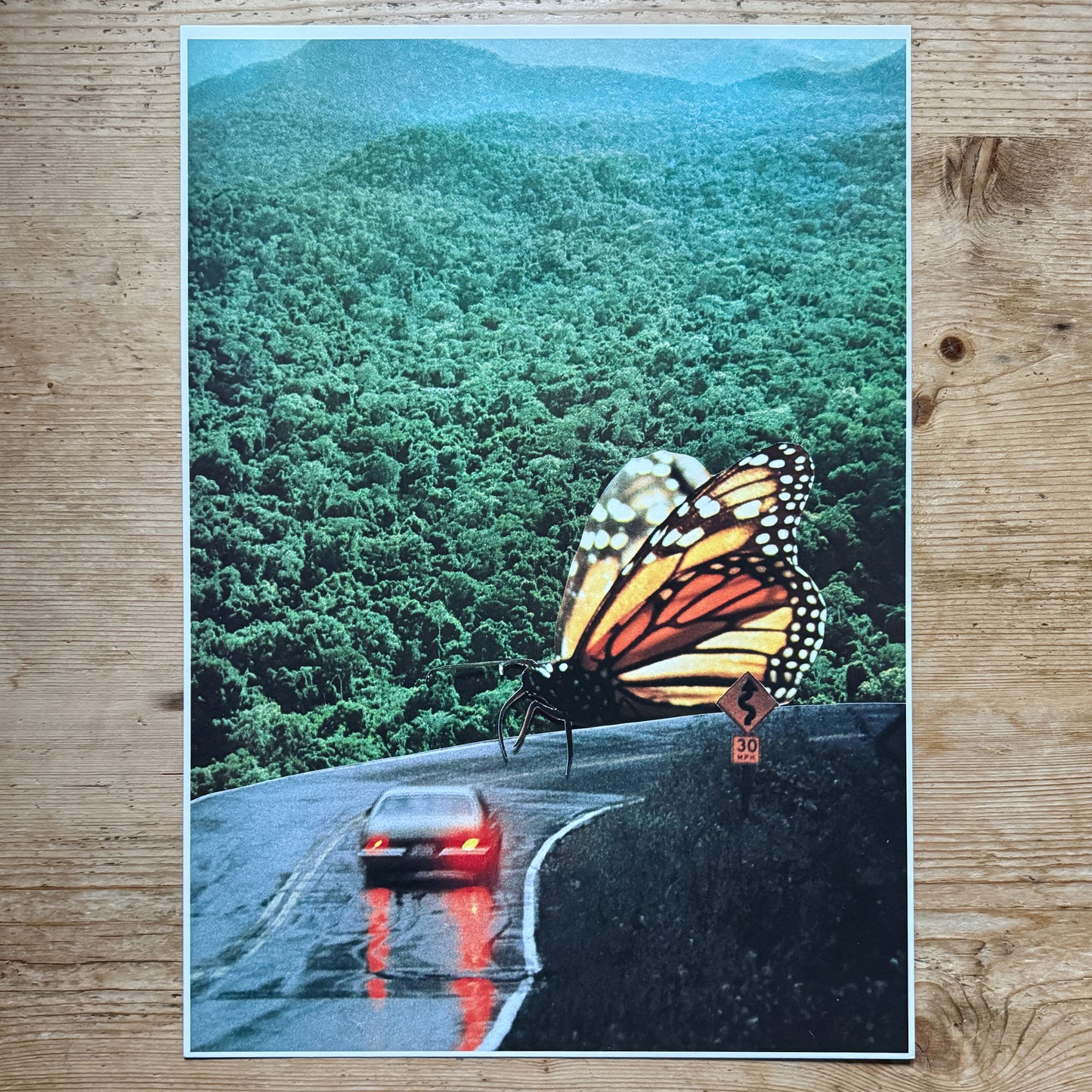 Butterfly Road