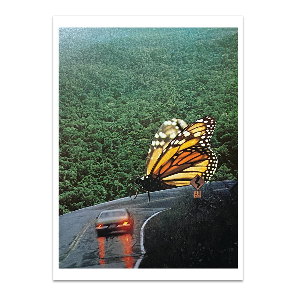 Butterfly Road