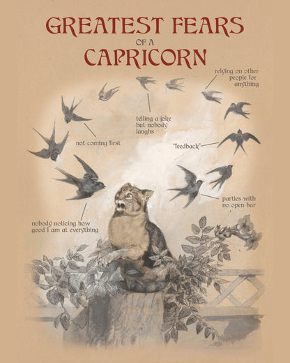 Fears of the Zodiac