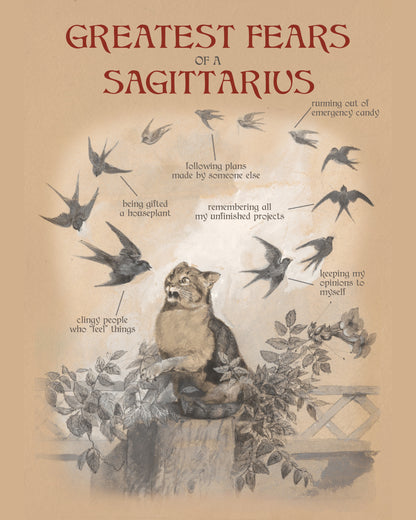 Fears of the Zodiac