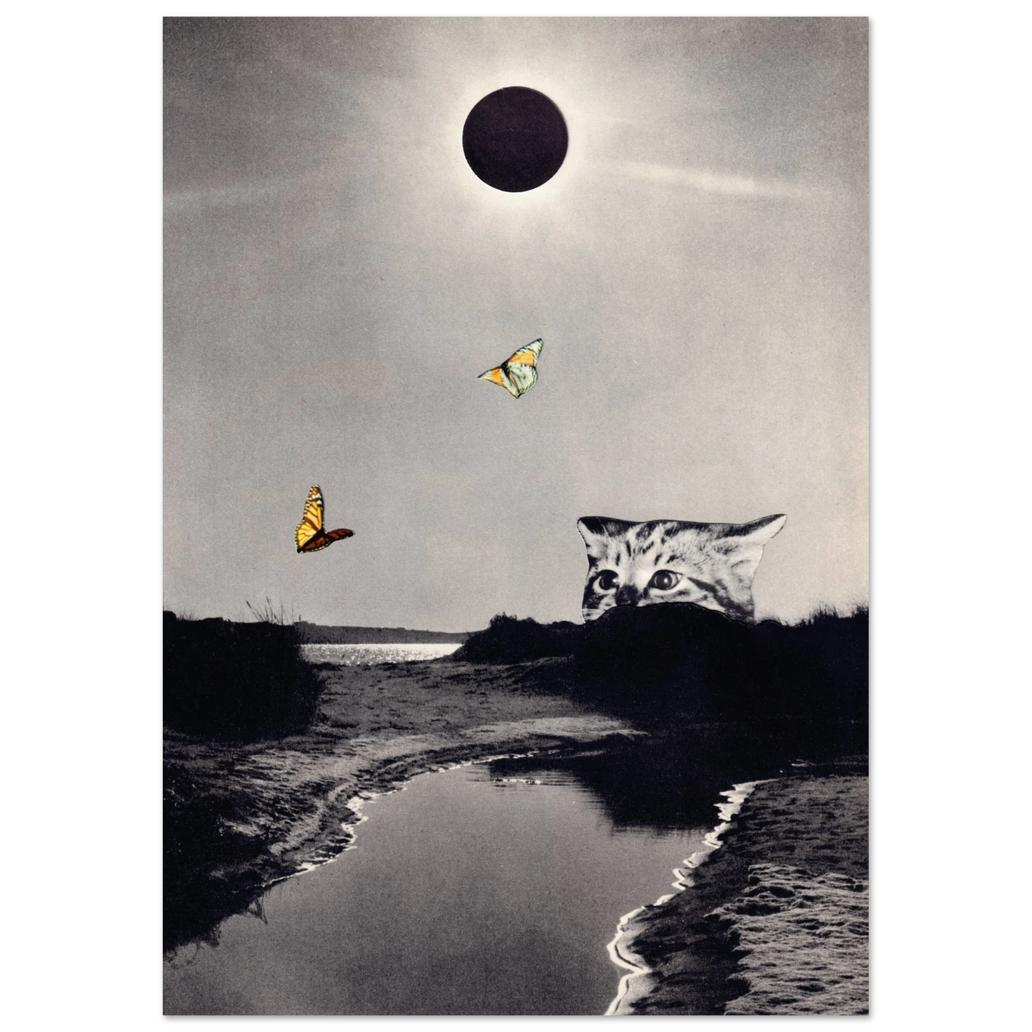 63538724-433f-4cfb-bb9e-8c34c27a68cb