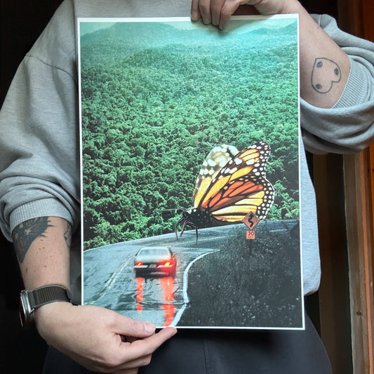 Butterfly Road - Discontinued Print