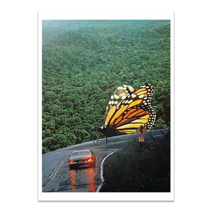 Butterfly Road