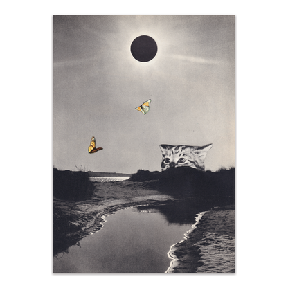 Flutter - Framed Original