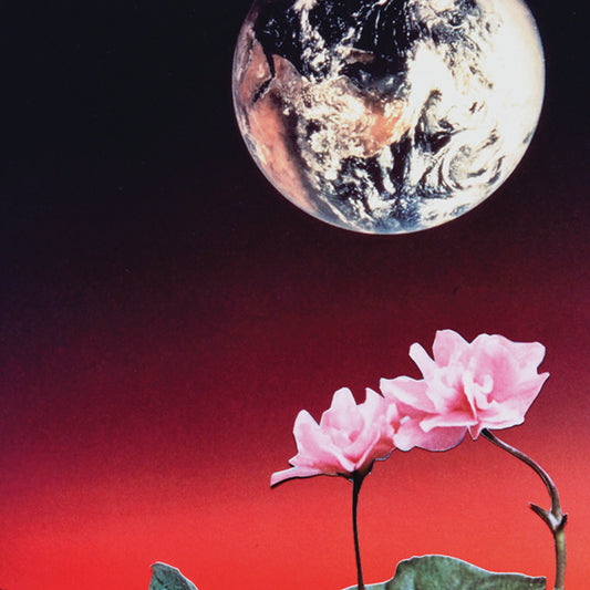 Life on Mars
