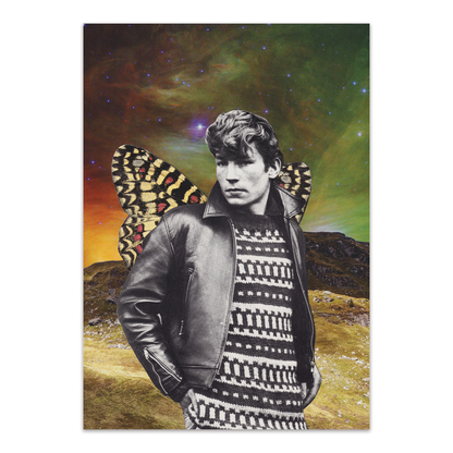 Teddy Boy