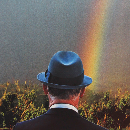 The Optimist - Framed Original