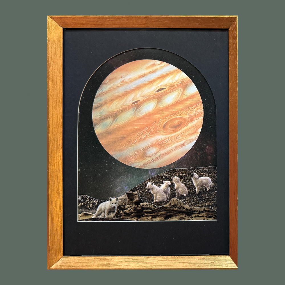 Howl & Bark - Framed Originals