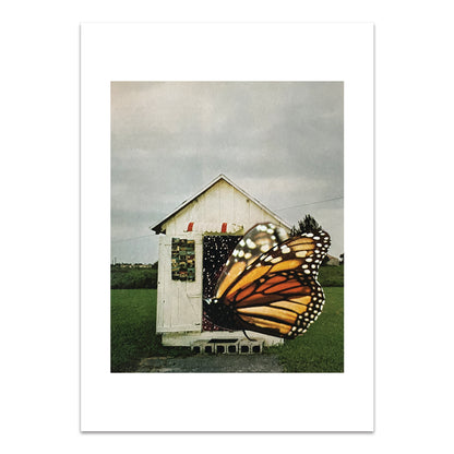 Butterfly House