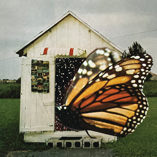 Butterfly House
