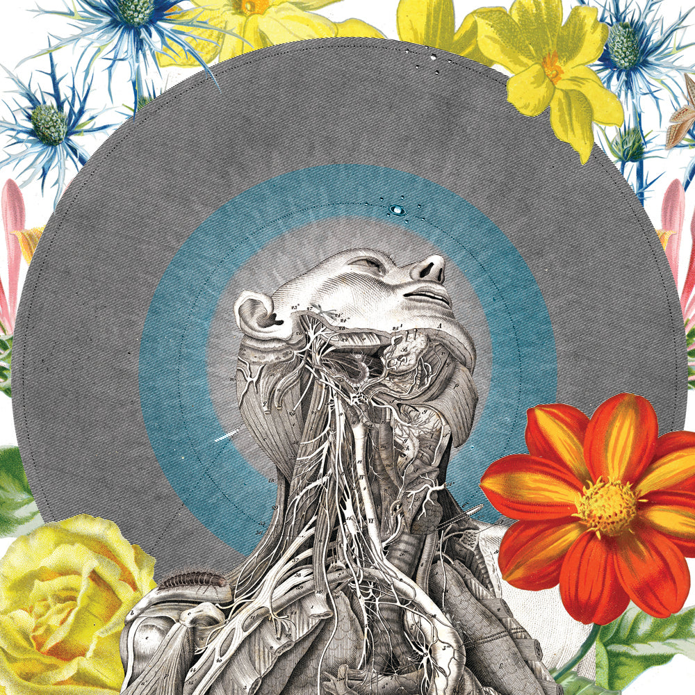 The Flower Man No.2