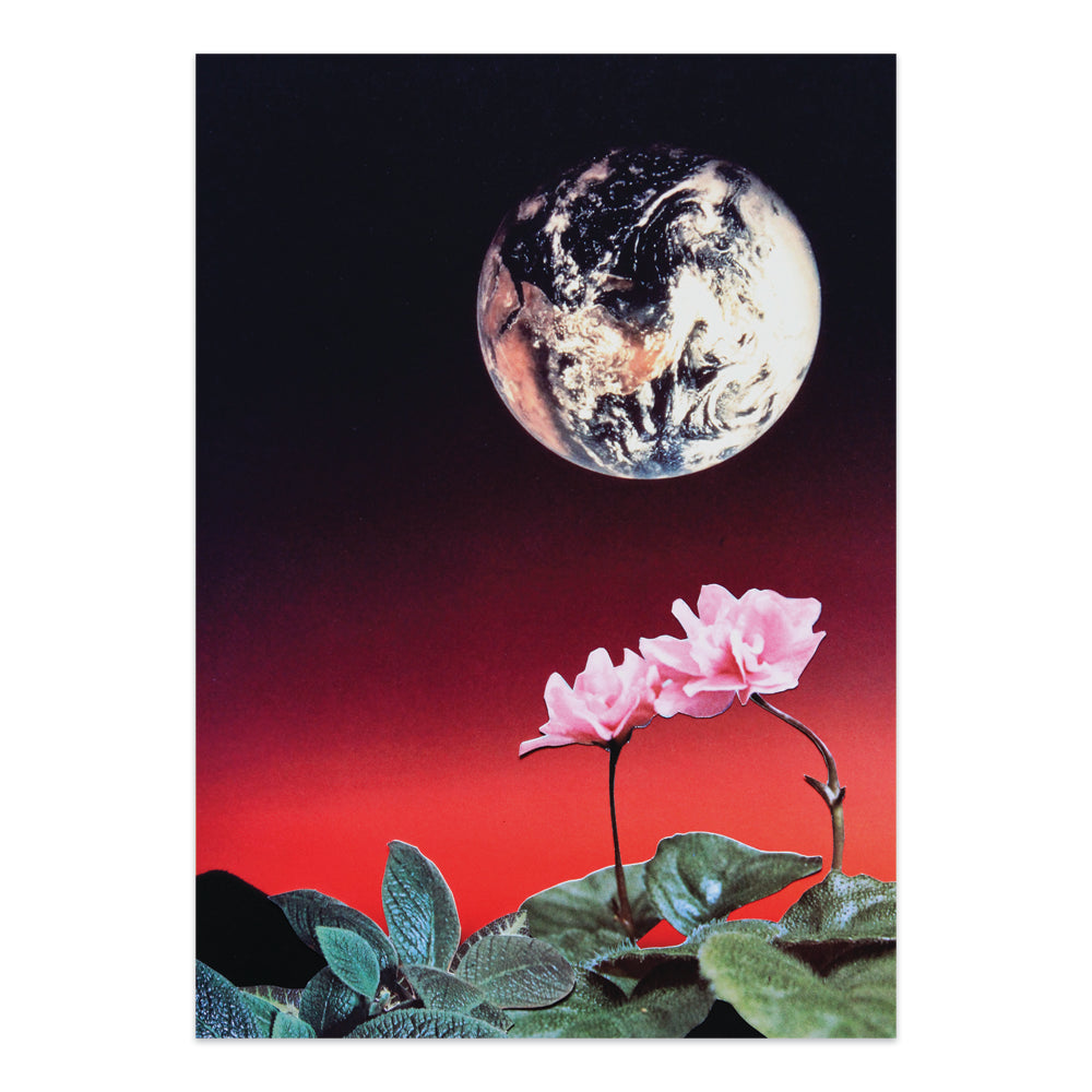 Life on Mars